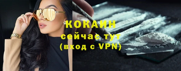 spice Абаза
