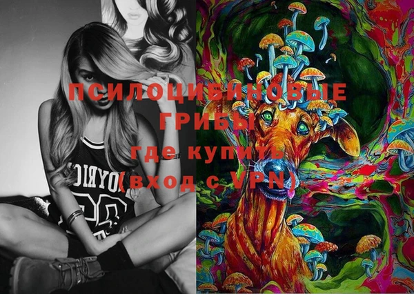 дурь Абинск
