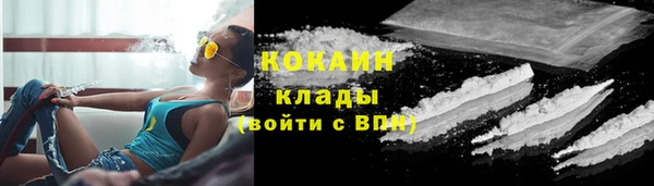 соль ск Алексин